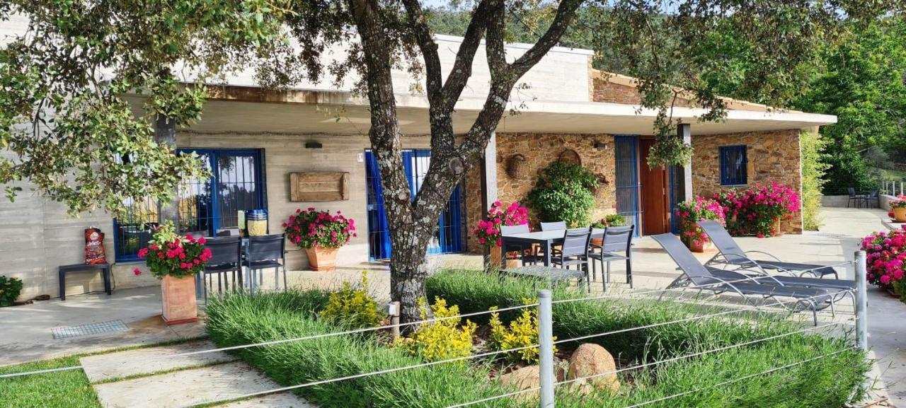 Casa Rural Madre Del Agua. Finca El Robledillo Monesterio Bagian luar foto